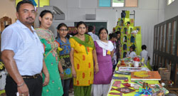 ys-school-barnala-cataylst-art-craft